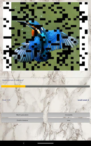 Foto Quiz screenshot 6