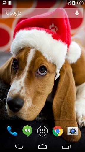 Christmas Dog Live Wallpaper screenshot 1