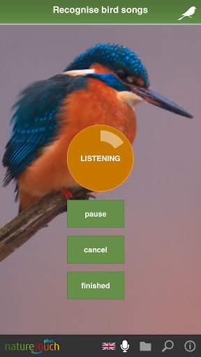 Identify live bird songs, naturetouch screenshot 2