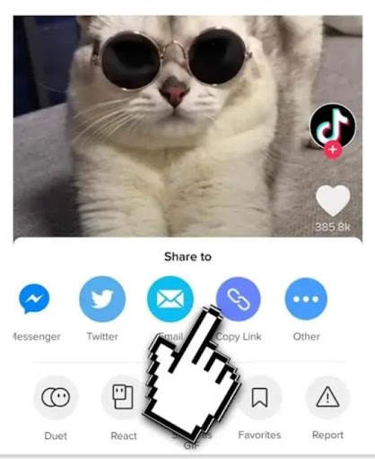 Social Video Downloader screenshot 2