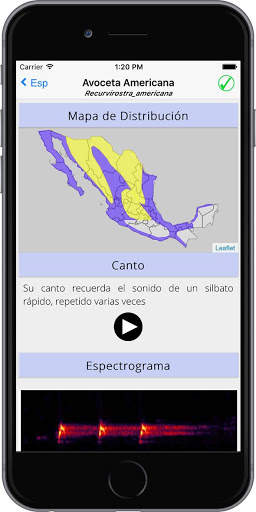 Aves de Chapala screenshot 4