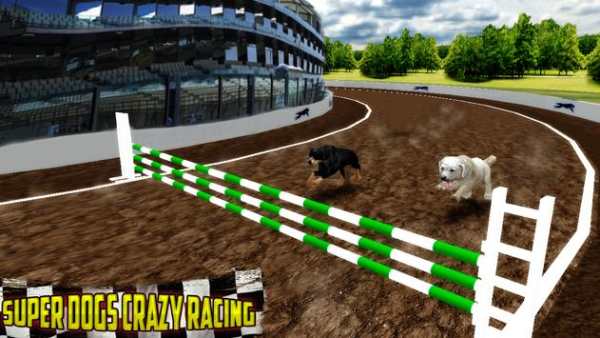 Ultimate Dog Race: greyhound Derby Race screenshot 1