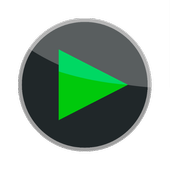 Max video audio player icon
