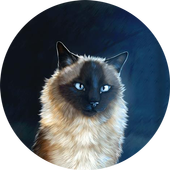 Fluffy cat live wallpaper icon