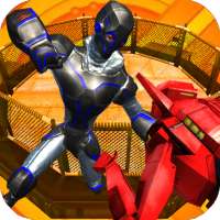 Robot Virtual Boxing 3D