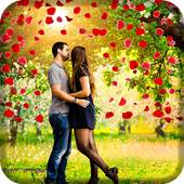 Heart Photo Animation 1.0