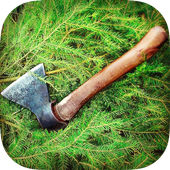 Survivor On Island icon