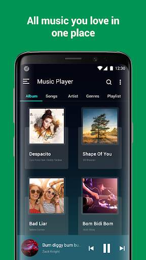 Music Player: MP3 Player, widget screenshot 3