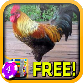 Rooster Slots - Free icon