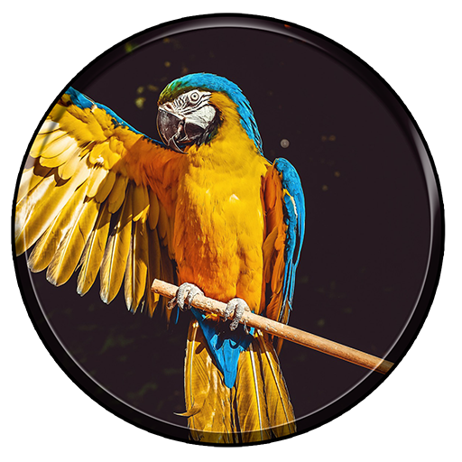 HD Wallpapers icon