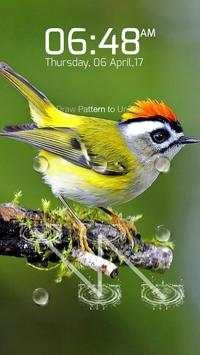 Bird Keypad Lock Screen screenshot 2