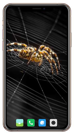 Spider Wallpaper screenshot 3