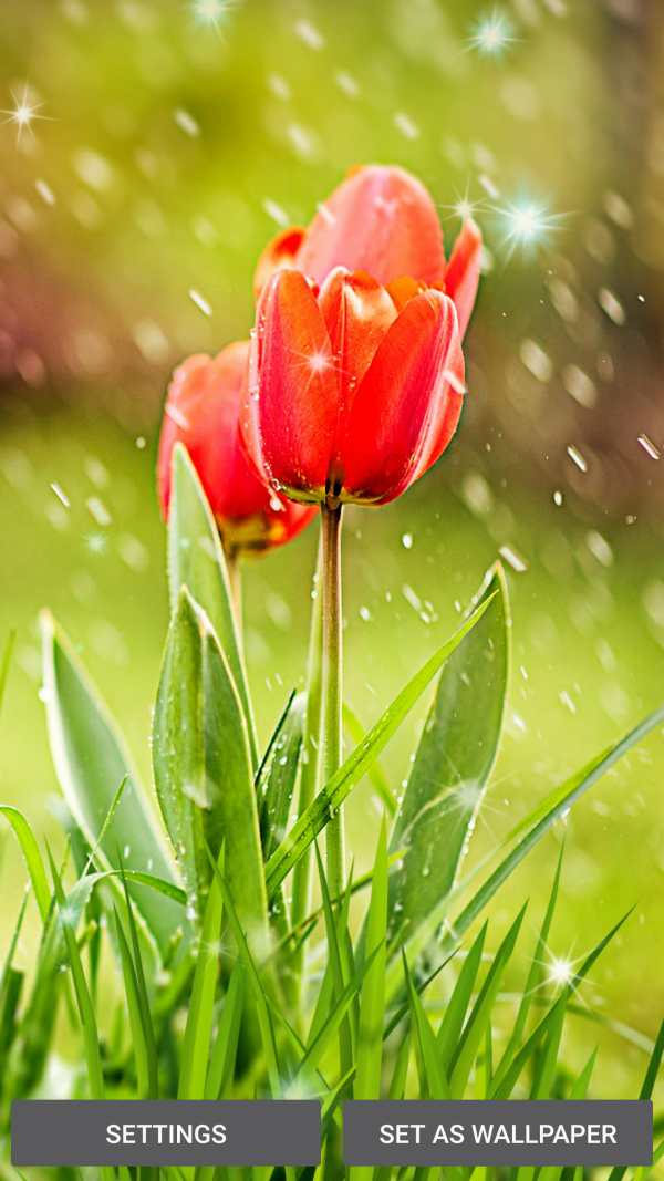 Spring Flowers Live Wallpaper screenshot 3