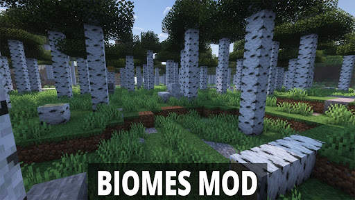 Biomes Mod Minecraft screenshot 4