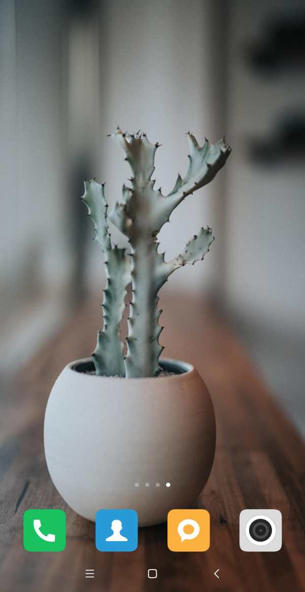 Cactus Wallpaper screenshot 10