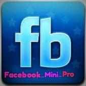Facebook Mini Pro