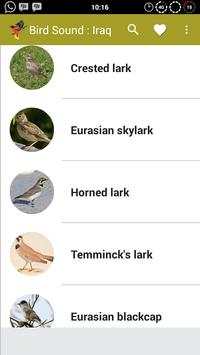 Birds Sound : Iraq screenshot 1
