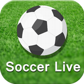 Soccer live score icon