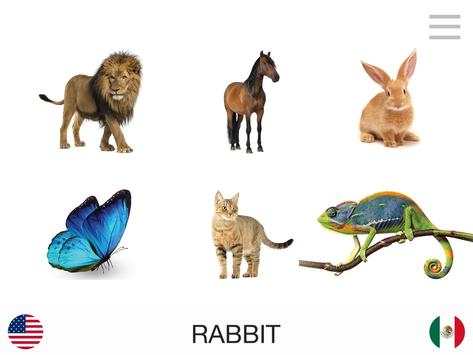 Lyrebird: Learn ENGLISH screenshot 10