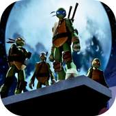 Turtle power ninja 1.0