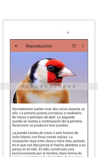 Goldfinch free screenshot 8