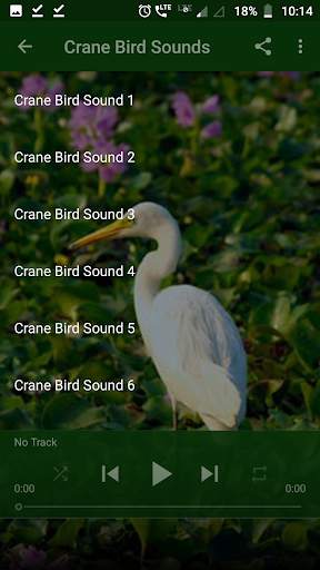 Crane Bird Sounds screenshot 2