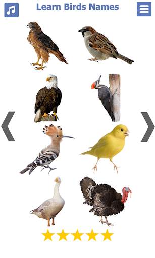 Birds name in English स्क्रीनशॉट 3