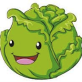 Vegetarian Recipes for Cabbage icon