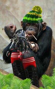 Bad Talking Monkey 3 تصوير الشاشة