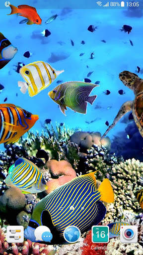 Aquarium Fish Live Wallpaper 2019 screenshot 3