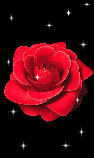 Rose Live 3D Wallpaper screenshot 6