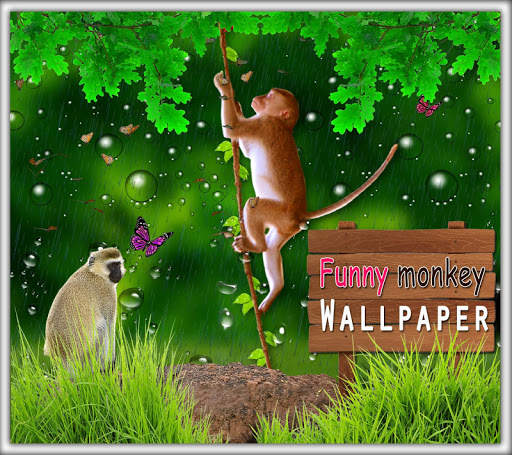 Funny Monkey Live Wallpaper screenshot 5