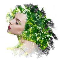 Photo Blender Overlay Pro logo