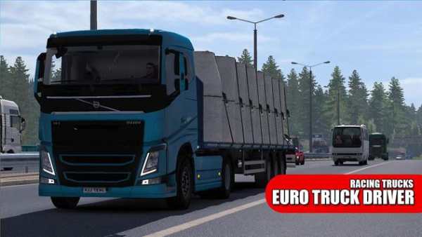 Truck Driving Simulator : Euro Truck screenshot 5