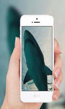 Sharks screenshot 4