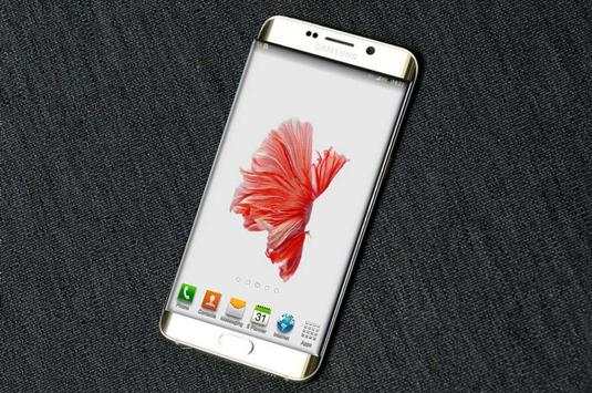 Betta Fish 6S Live Wallpaper स्क्रीनशॉट 4