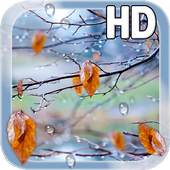 Autumn Raindrops Live HD 1.2