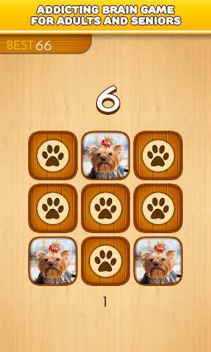 Brain games - Dogs - Memory training *Gold edition screenshot 1