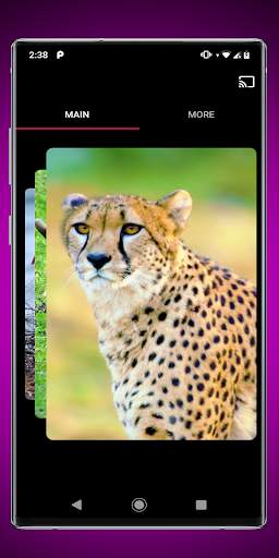 Wild Animals for Chromecast TV screenshot 6