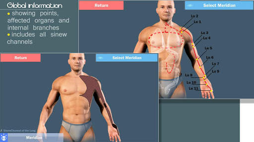Easy Acupuncture 3D -LITE screenshot 4