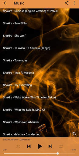 Shakira Music and Lyrics screenshot 5