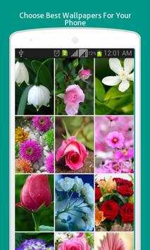 Flower Wallpapers HD screenshot 1