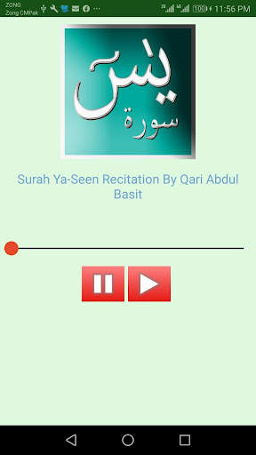 Surah Yaseen (Offline Audio) Q screenshot 2