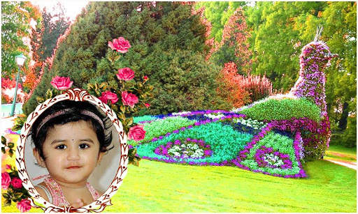 Beautiful Garden Photo Gallery скриншот 3