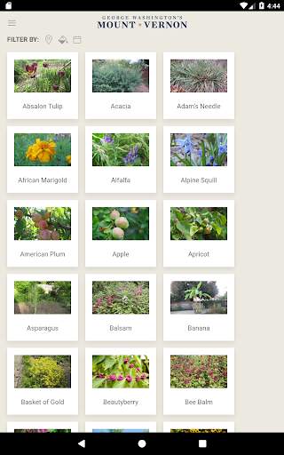 Mount Vernon screenshot 9