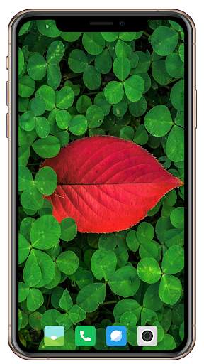 Nice Green Wallpaper screenshot 3