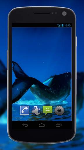 4K Whales Video Live Wallpapers screenshot 1