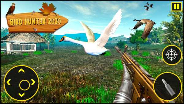 Bird Hunter 2020 screenshot 2