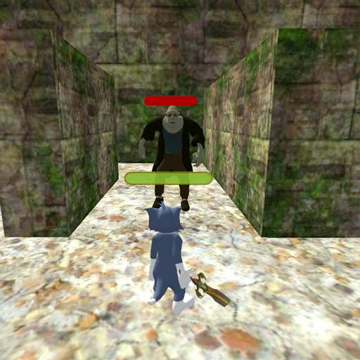 Maze World Tom cat Jerry mouse 1.1