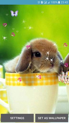 Rabbit Live Wallpaper screenshot 3